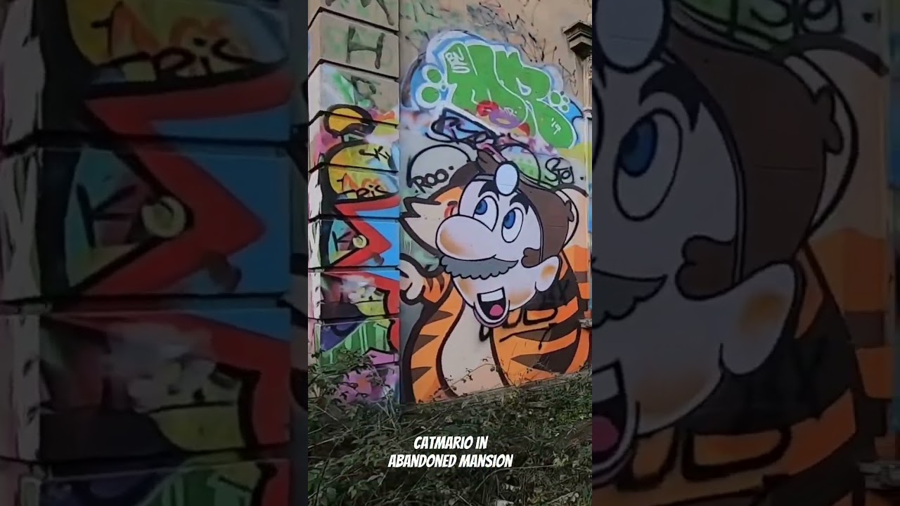 🎲 Cat Mario Graffiti in abandoned House! 🎲 #nintendo #mario #graffiti #abandonedbuilding