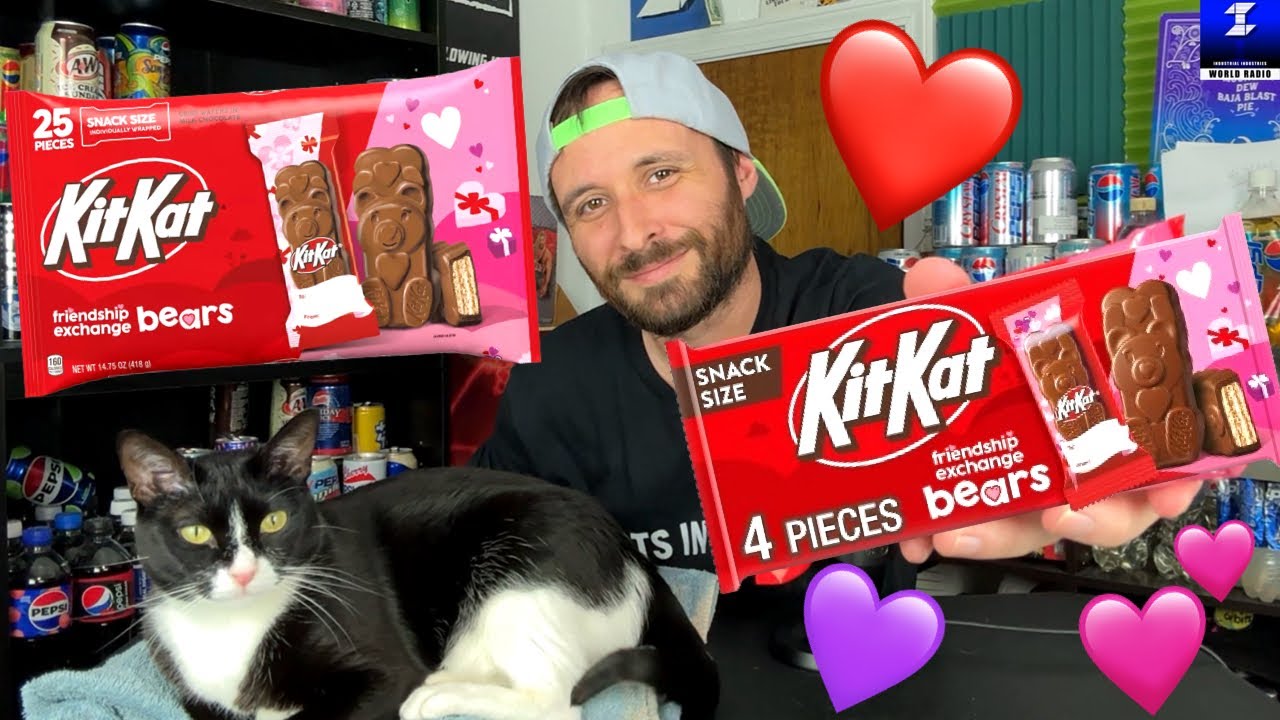 Обзор мишек Kit Kat | Специальный гость — кот