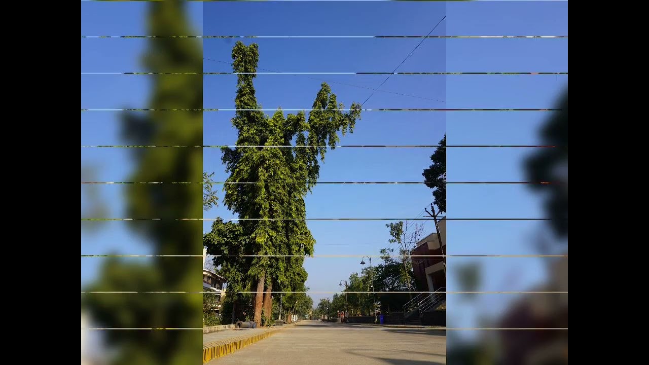 Chandrapur Forest Academy Chandrapur, ( Maharashtra), 