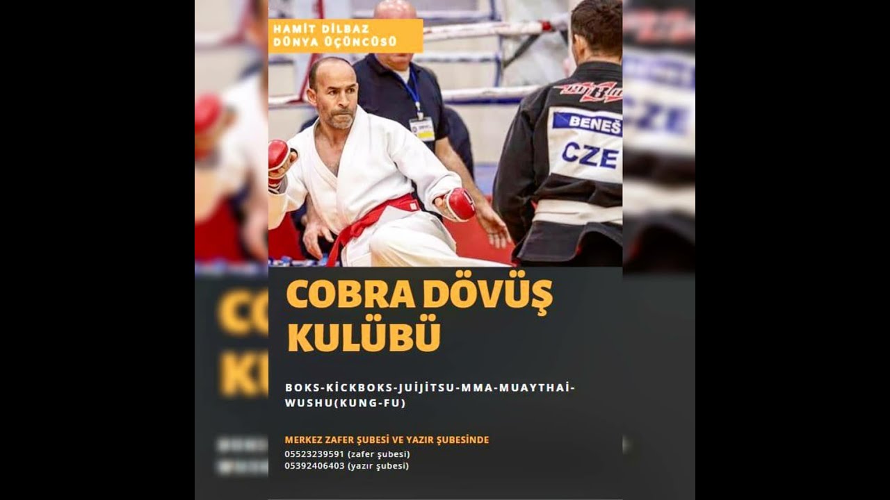 cobra spor salonu ( dünya 3 üncüsü hamit dilbaz ) boks. kick boksi. muaythai. juijitsu. wshu