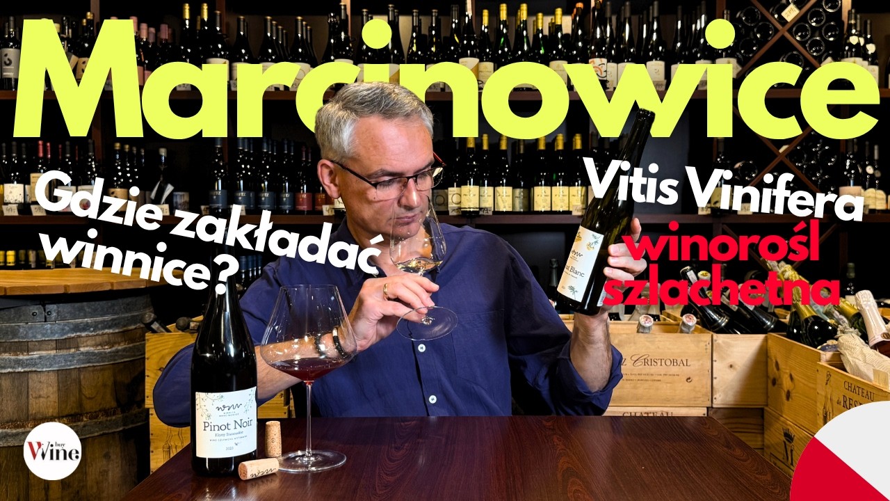 Jak Smakuje Polskie Pinot Noir i Pinot Blanc? - Winnica Marcinowice | Niewinne Opowieści