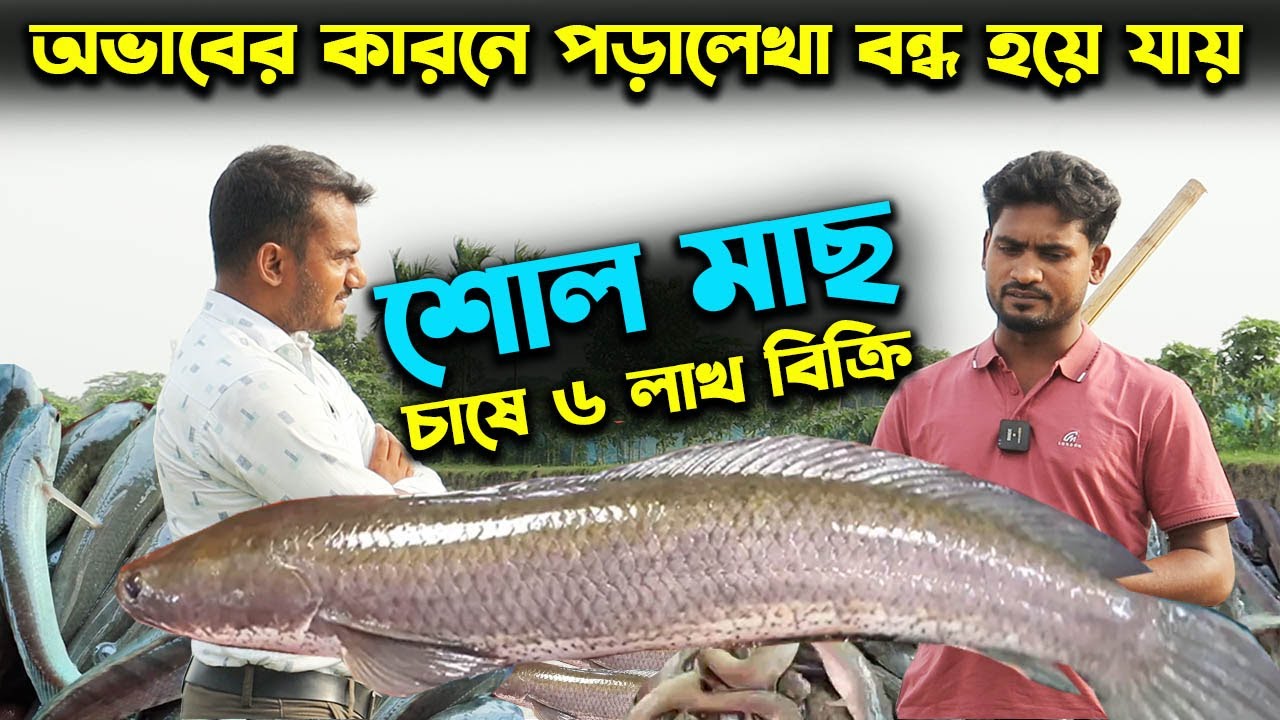 পুকুরে একক শোল মাছ চাষে ৬ লাখ টাকা আয় যুবকের | উদ্যোক্তার খোঁজে