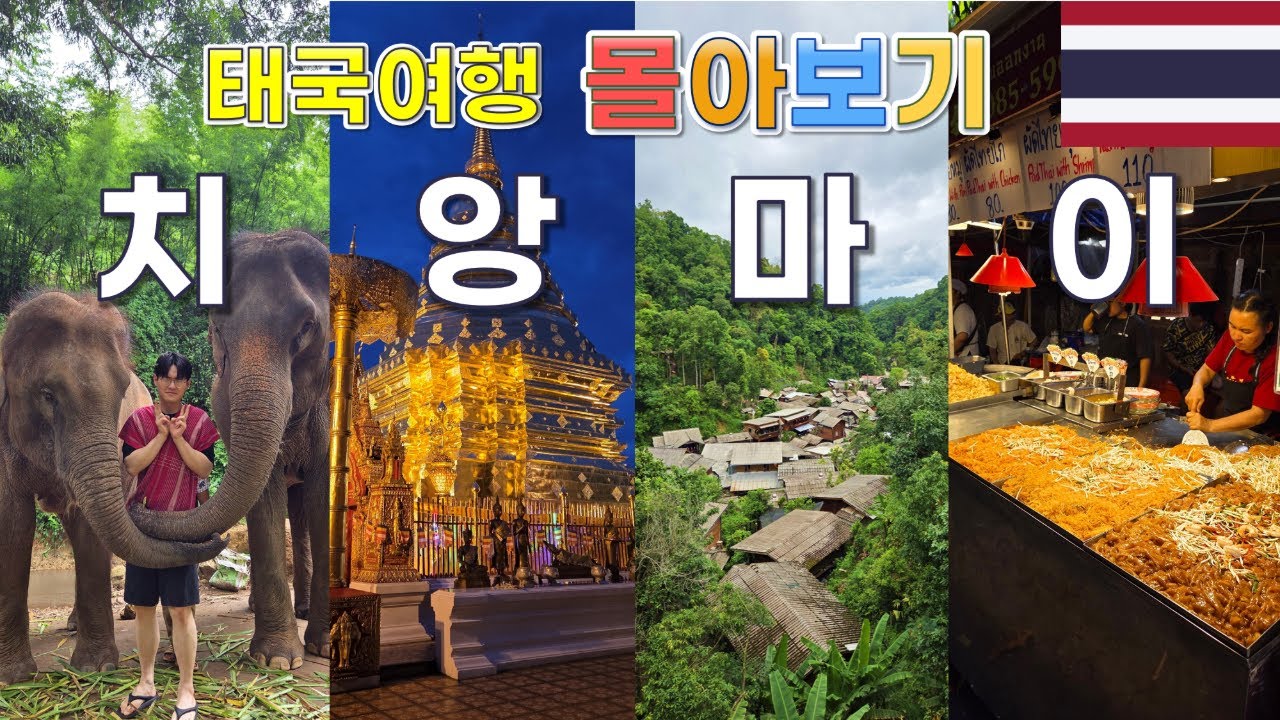 [몰아보기] 🇹🇭 태국 치앙마이, 매캄퐁 4박 5일 나 혼자 배낭여행