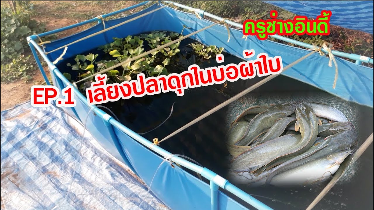 EP.1 เลี้ยงปลาดุกในบ่อผ้าใบ+โซล่าเซลล์+ออกซิเจน @ครูช่างอินดี้