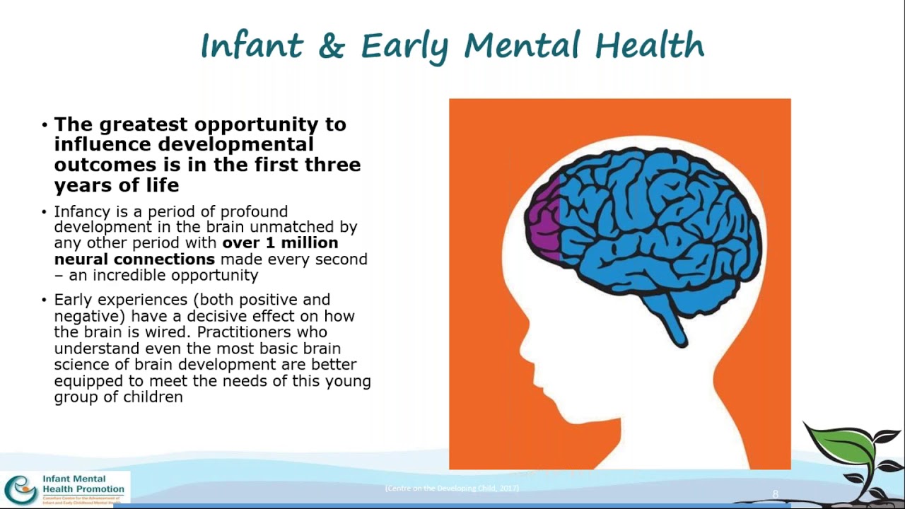 W31-E Webinar: Infant and Early Mental Health in an Indigenous Context