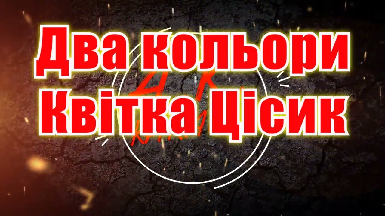 #Два #кольори(#AK)~   #Квітка #Цісик #караоке #подпишись #тренды #Kurkov @a.k.karaoke💖