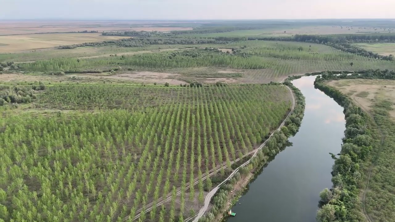 Sakule, Serbia 2025