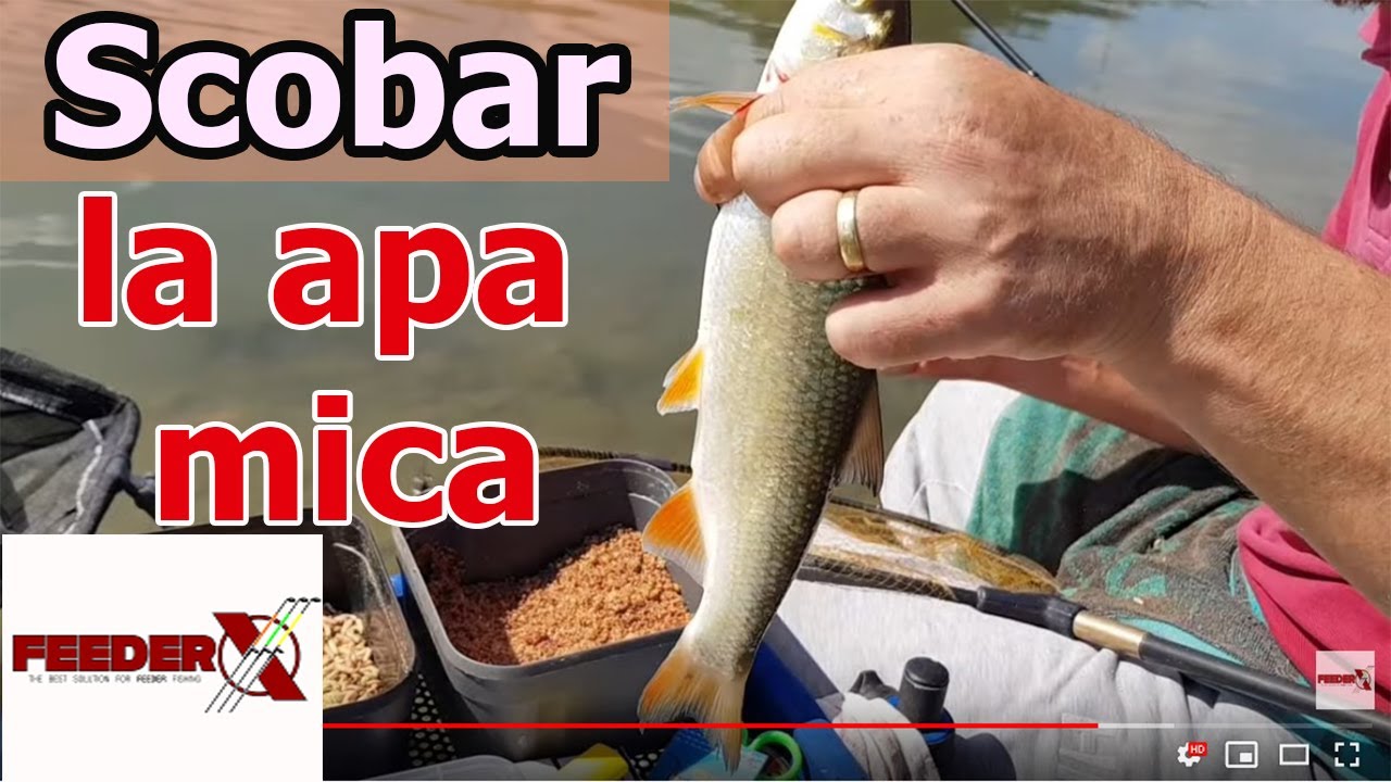 La scobar pe apa mica