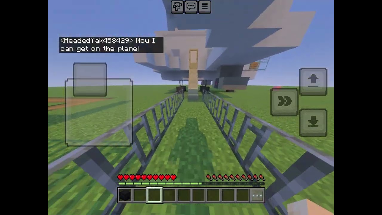 The plane crash #1