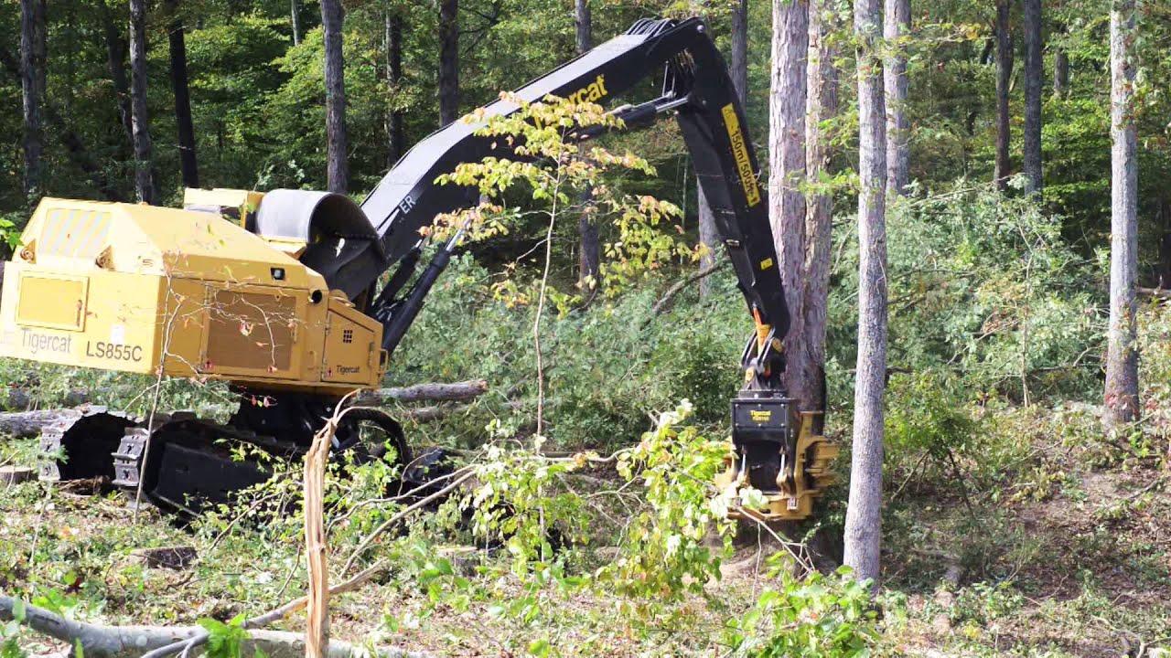 Tigercat LS855C with 5195 directional felling saw