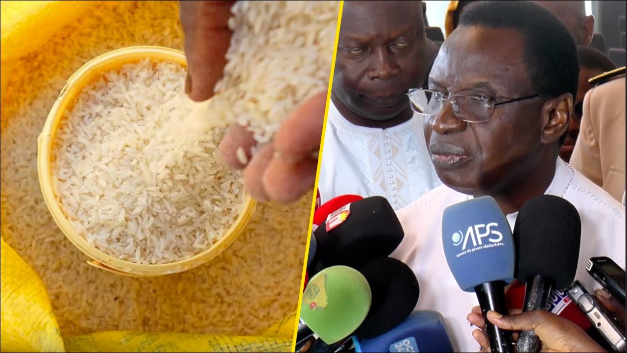 Le ministre Serigne Gueye Diop présente le nouveau tarif du prix du riz ordinaire