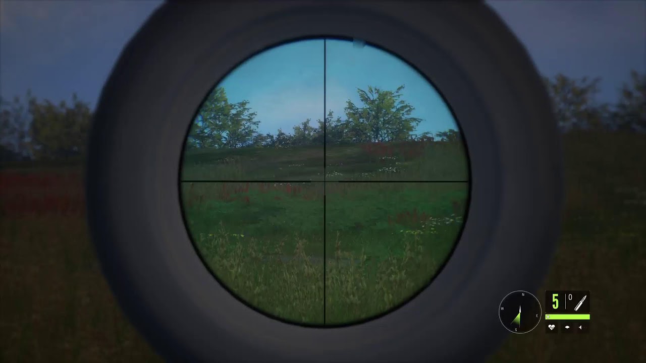 Cotw duck hunting