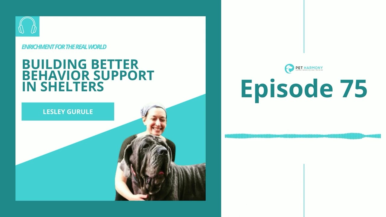 #75 - Lesley Gurule: Building Better Behavior Support in Shelters