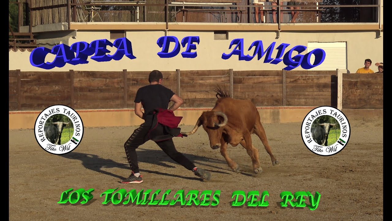 CAPEA DE AMIGOS GANADERIA LOS TOMILLARES DEL REY ( CANDELEDA)
