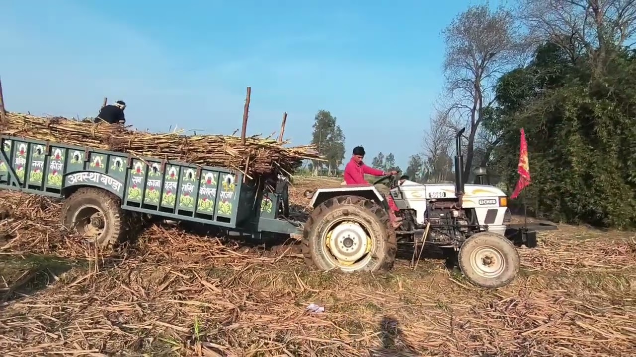 Ganne ki badhai mein buri tarah fasa tractor