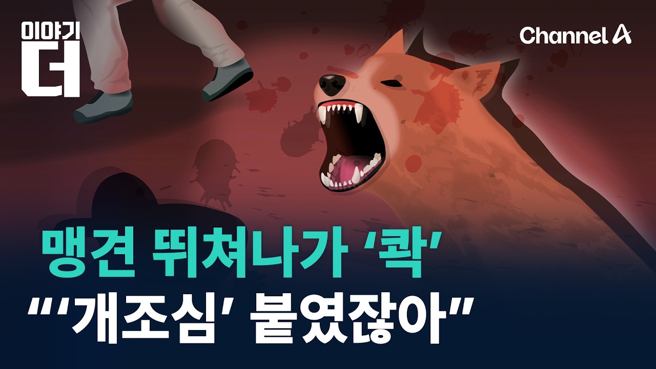 목줄 안 채운 맹견, 집 밖 뛰쳐나가 ‘콱’…“‘개조심’ 붙였잖아” / 채널A / 이야기 더
