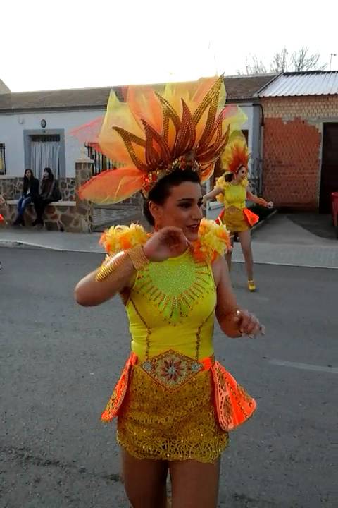Desfile Carnaval Amas de Casa Pozuelo de Calatrava