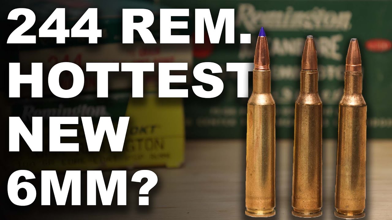 Is 244 Remington the Hottest New 6mm?