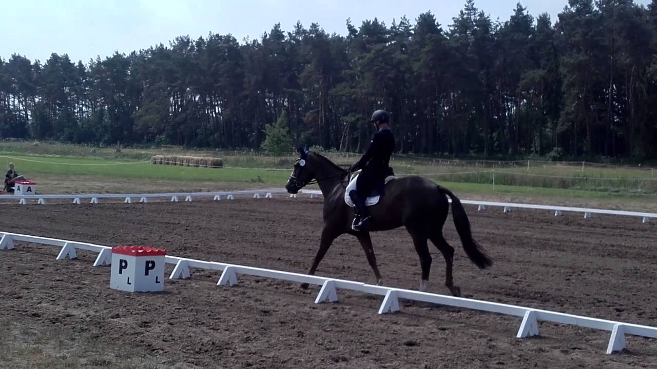 Jaroslav Hatla, Reenmore Alfie CIC1* Baborowko 2016
