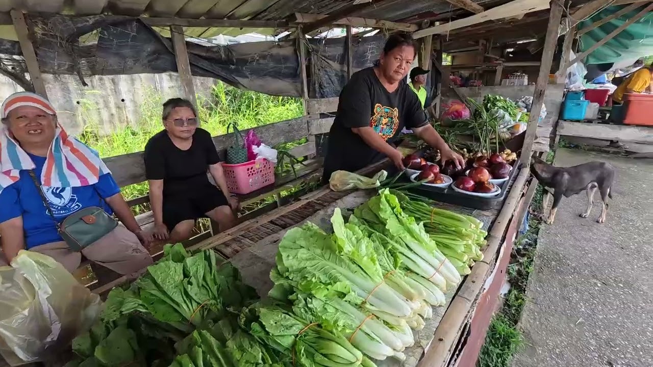Gerai sayuran yang nampak terpencil tetapi menjual pelbagai sayuran segar// jualan kucai laris
