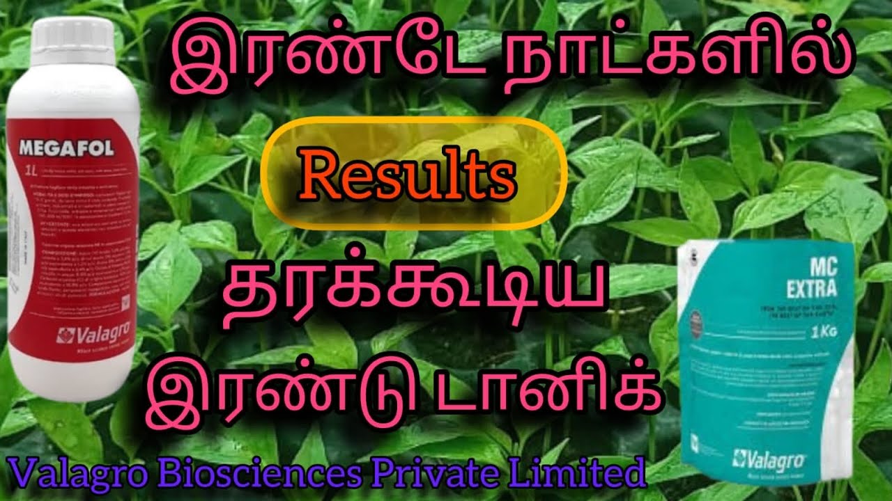 VALAGRO  வின் சிறந்த மருந்து #magafal #agriculturetips #nutritiontips #fertilizer #agro