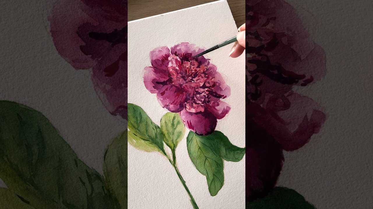 Jak namalować piwonię akwarelami 🌿 #akwarele #watercolor #watercolorpainting #peonies