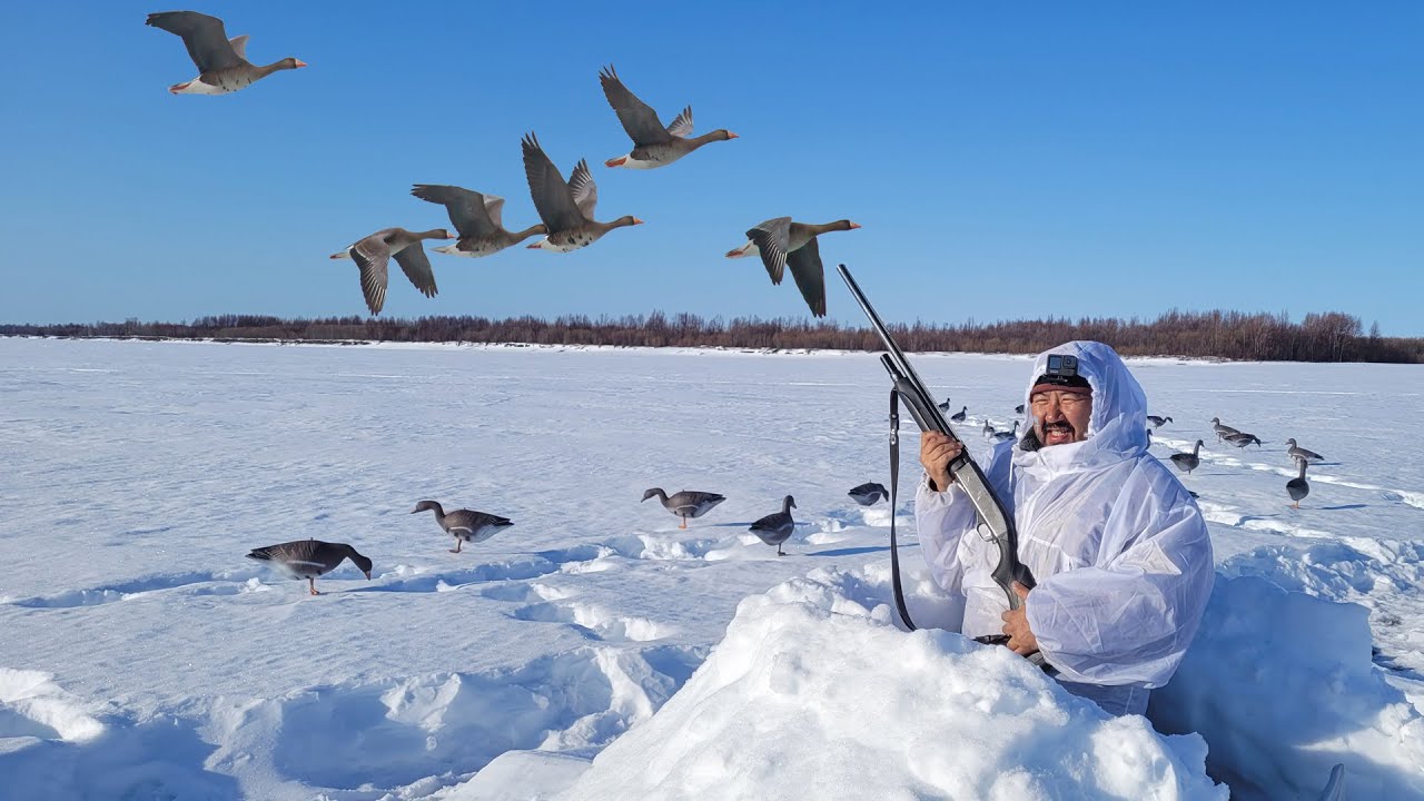 ОХОТА НА ГУСЯ НА КОЛЫМЕ ВСЕ СЕРИИ! GOOSE HUNTING IN SIBERIA ALL SERIES. GÄNSEJAGD IN KOLYMA