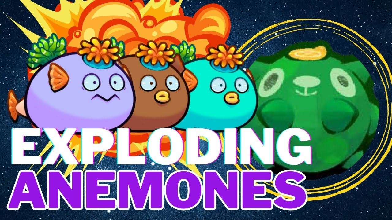 FEATURING SPLASH DAMAGE ANEMONE!! | AXIE INFINITY | ORIGINS LEADERBOARDS | SEASON 6