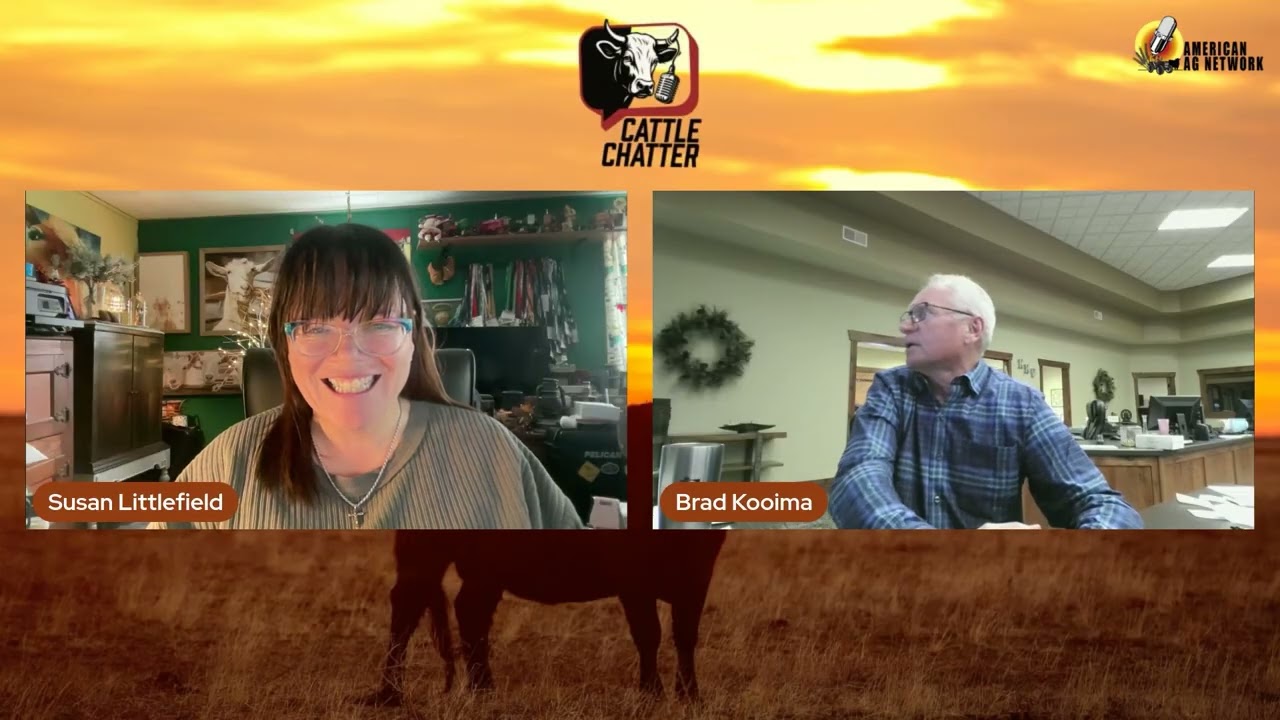 Скот находит новые возможности | 12.04.25 Болтовня о скоте