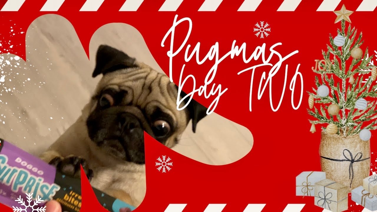 Vlogmas Day TWO | 23