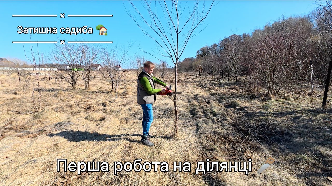 Починаємо розчищення! Перша робота на ділянці.