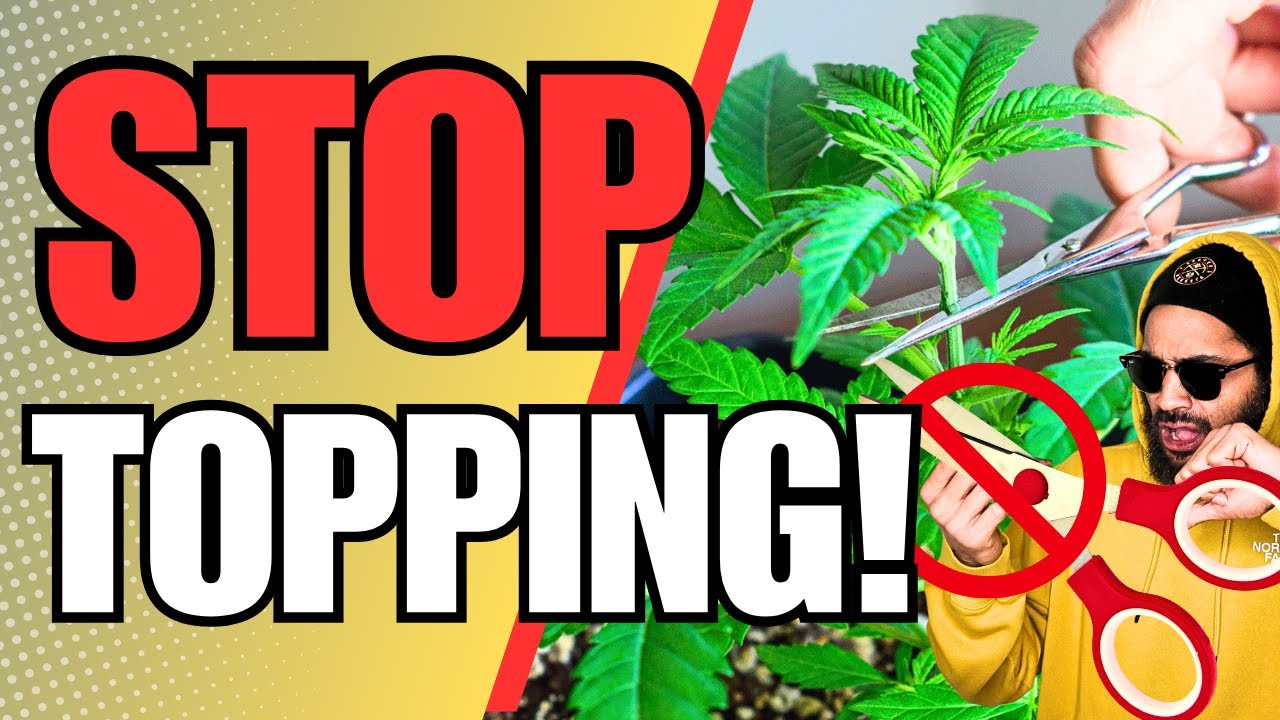 STOP TOPPING YOUR PLANTS!!! 😡