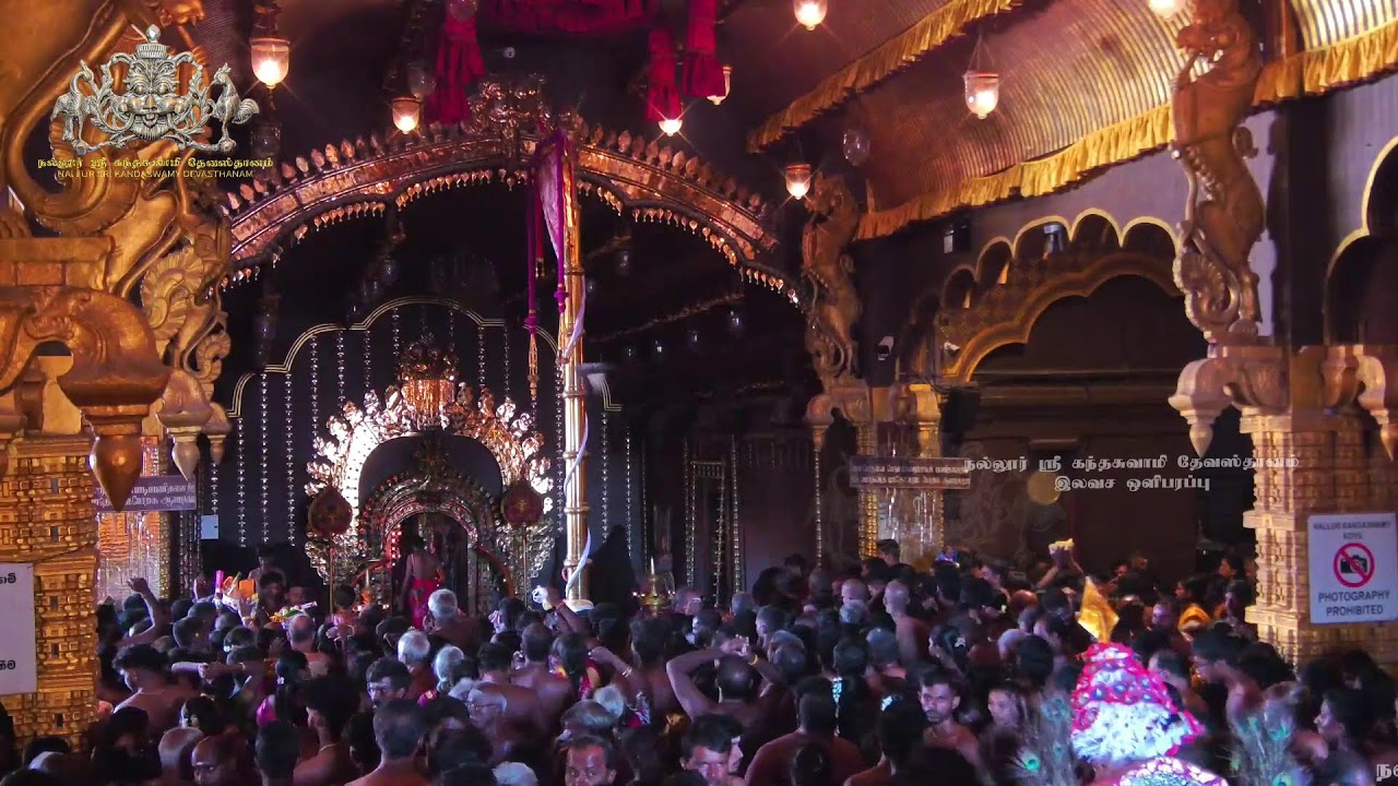 Nallur Sri Kandaswamy Devasthanam &lsquo;Chariot&rsquo; Festival 2025 Free Live Broadcast