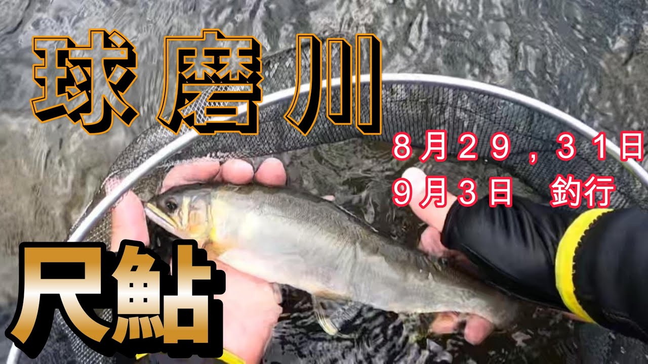 2025年　今年も尺鮎　大きく育ちました！！