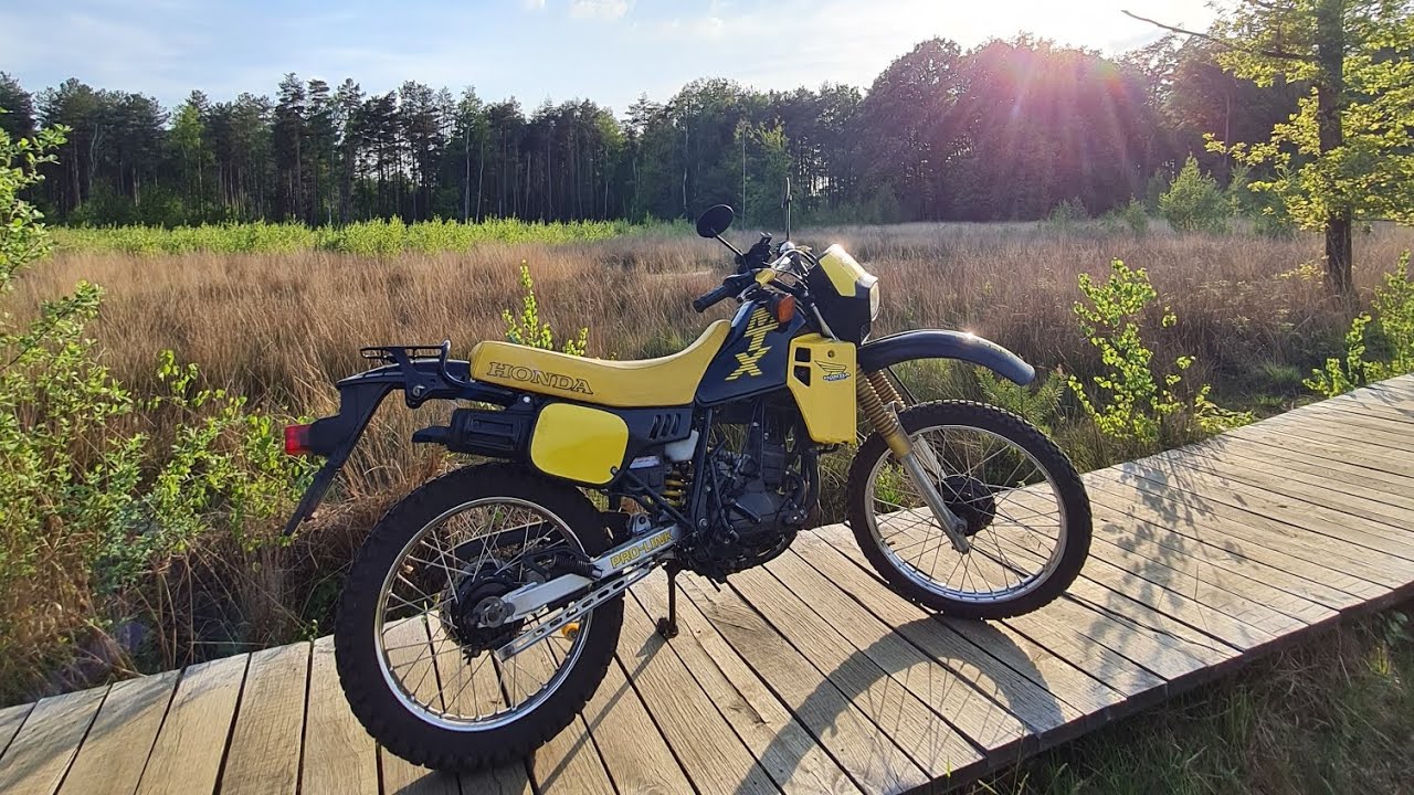 Honda mtx sh 50 1983