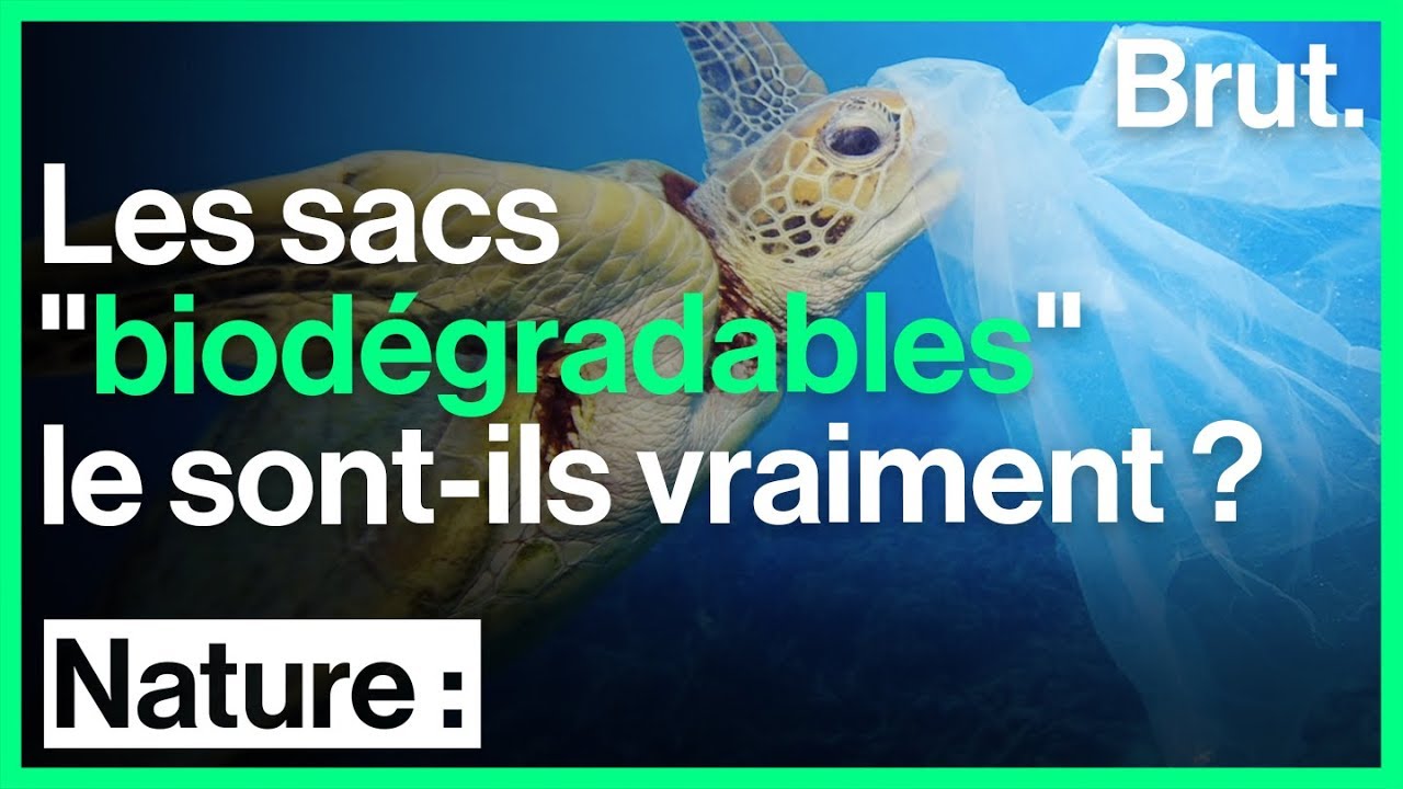 Les sacs 