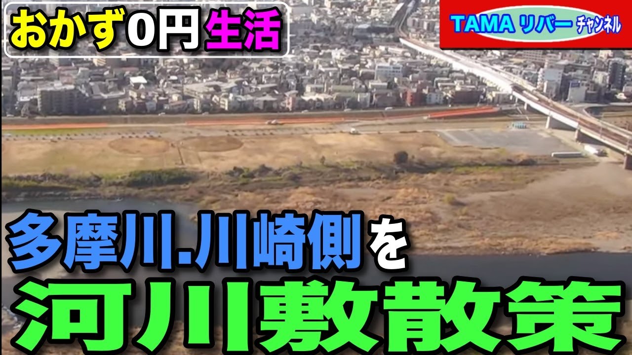【おかず0円生活】多摩川の川崎側の河川敷を散策と野草摘み