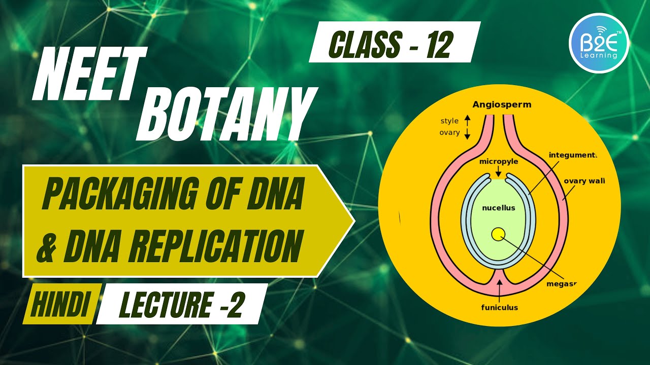 DNA की पैकेजिंग व DNA प्रतिकृति | Lecture 2 | MBI | Class 12 Biology (Hindi) | NEET | B2E Learning