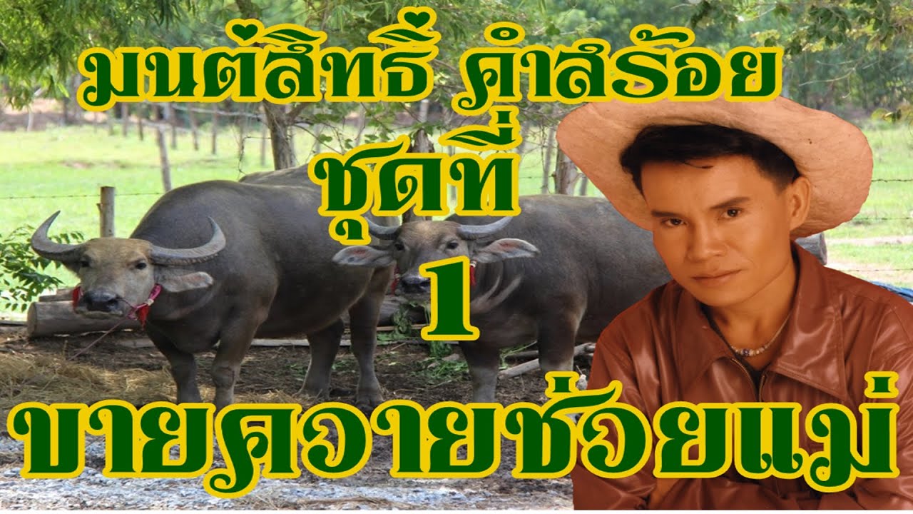 ขายควายช่วยแม่ มนสิทธิ์ คำสร้อย ชุดที่1  เสียงดีชัด (เต็มอัลบั้ม)