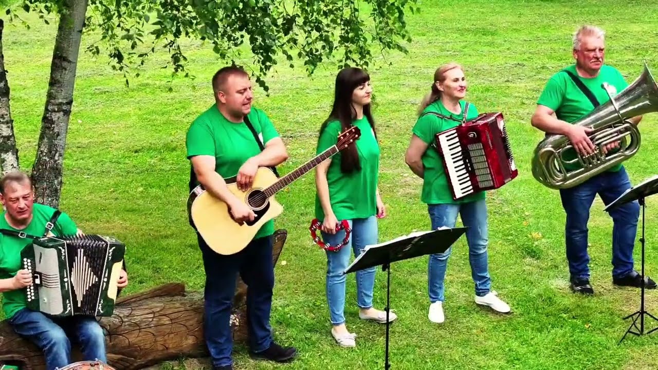 Alizavos stilizuotos muzikos kapela 