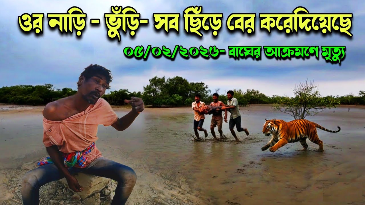 ০৫/০২/২০৬ তারিক হ কমলি জঙ্গলে বাঘের আক্রমণে মৃত্যু 😔// tiger attack in sundarban 2026