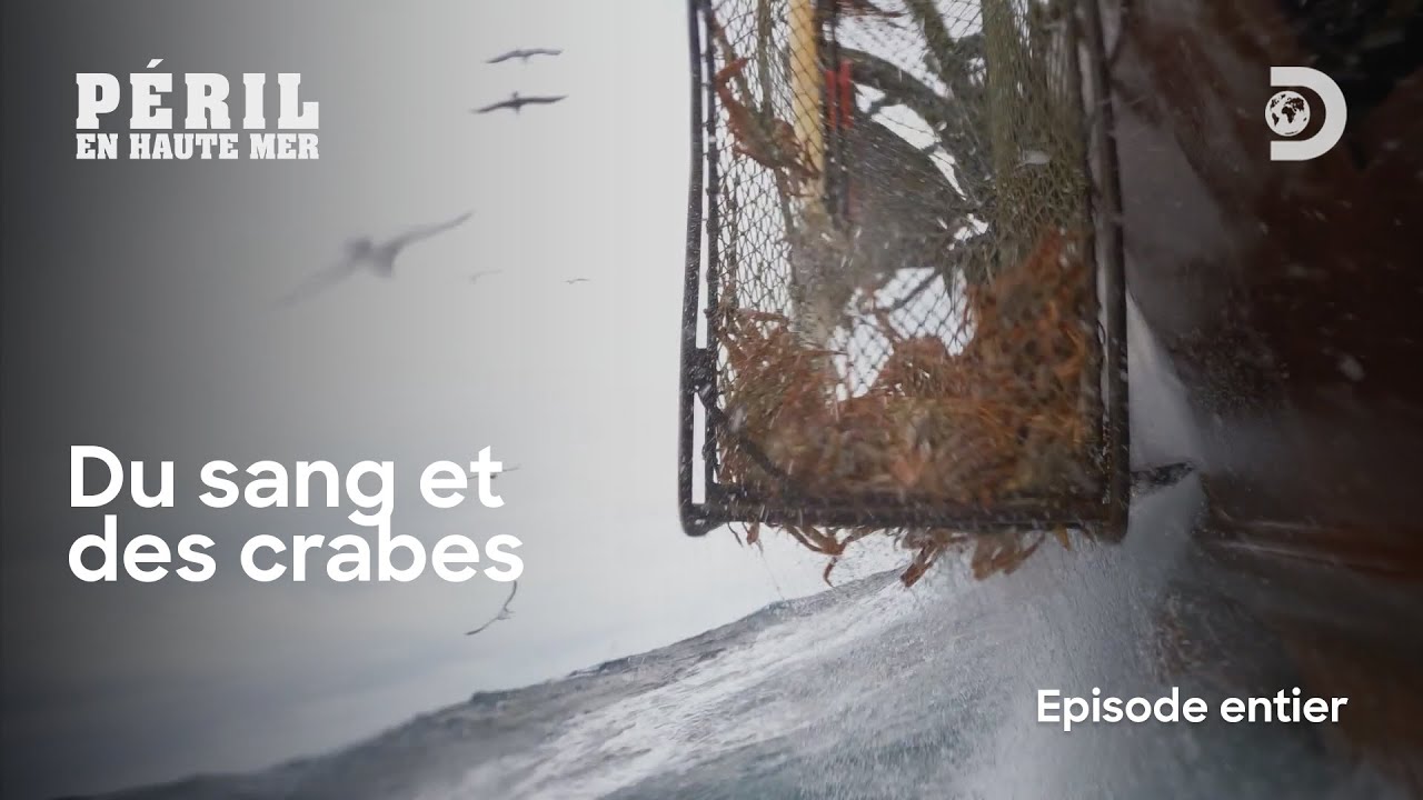 Ne JAMAIS mal parler au capitaine _ Péril en haute mer