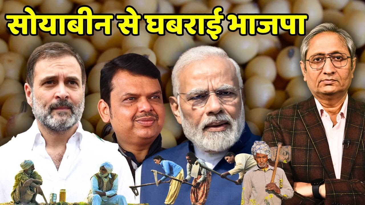 महाराष्ट्र में सोयाबीन क्यों है मुद्दा?