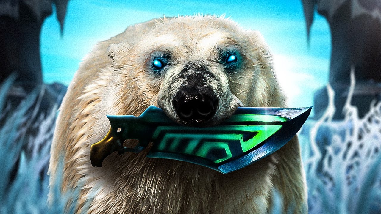 AP VOLIBEAR IS DEFINITELY NOT BALANCED