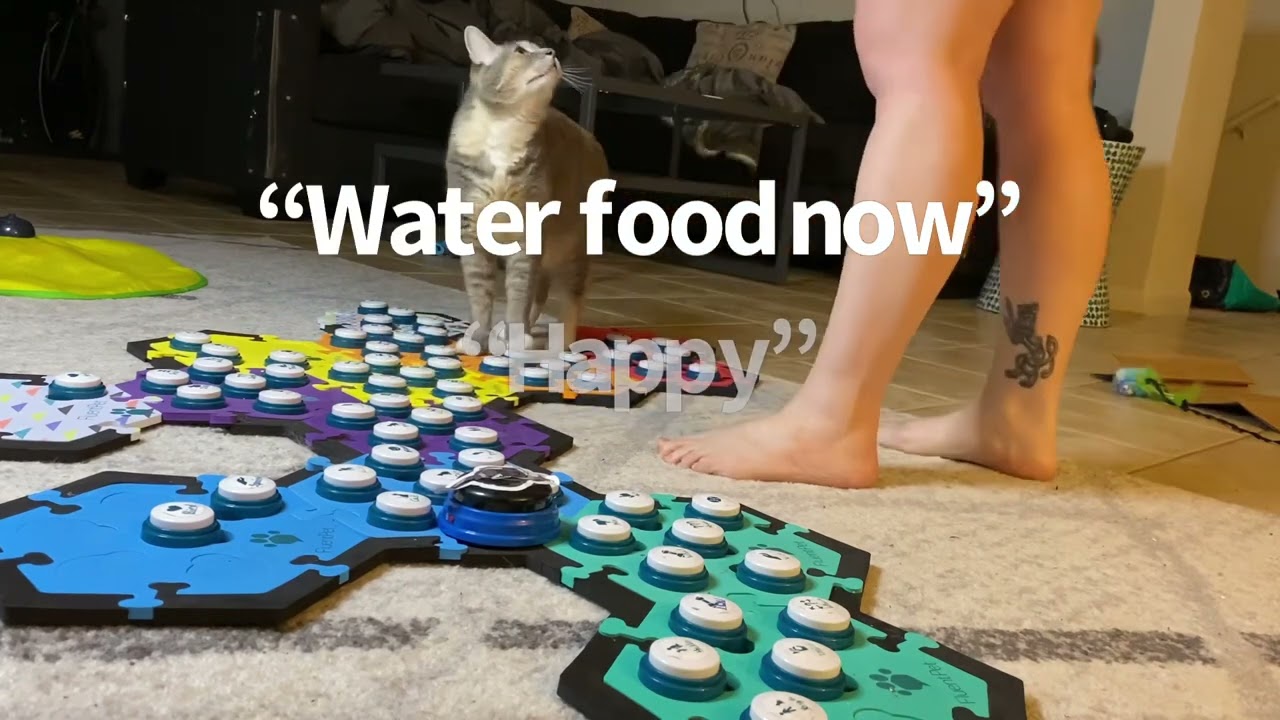 Food FINALLY | BilliSpeaks