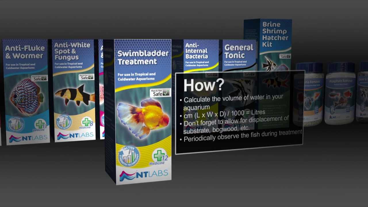 How To Use Swimbladder Treatment