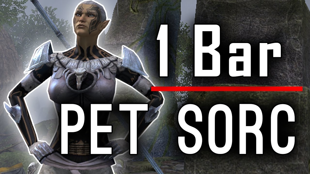 1 Bar Pet Sorc Build for vMA + Full Walkthrough + Guide