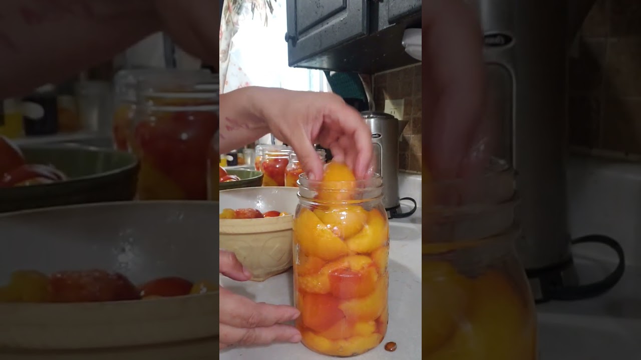 Harvesting and Canning Peaches for our Homestead