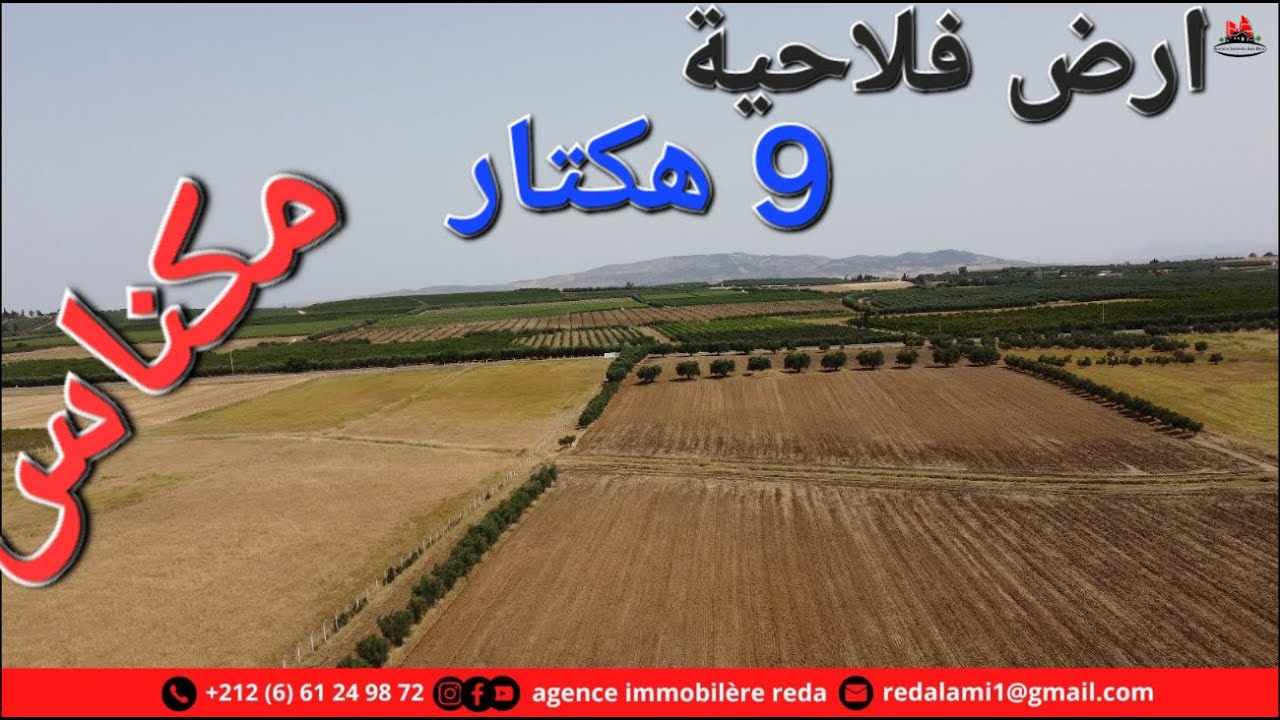 MeknesTerrain 9 hectares مكناس ارض 9 هكتار