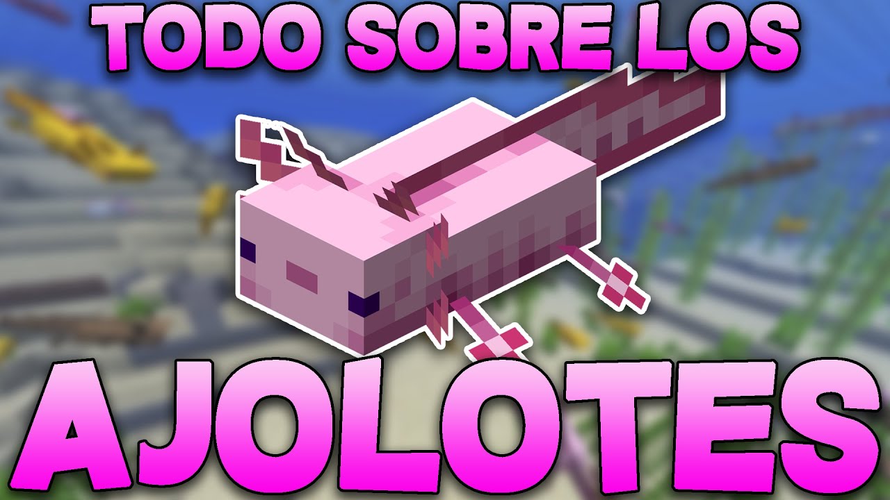 TODO SOBRE LOS AJOLOTES - Minecraft 1.17
